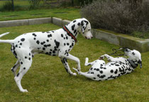 Ole und Fanny