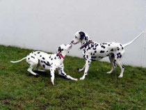 Ole und Sixtina