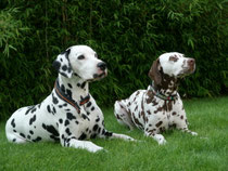 Ole und Chunani