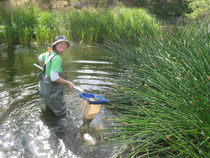 Waterwatch coordinator Julia Vanderoord