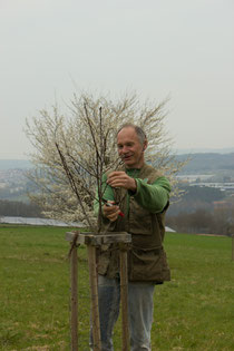 Herr Leinweber beim Schnitt