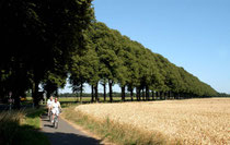 © Rüstemeier - Stadt Marl