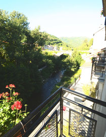 Vue sur la rivière depuis la chambre