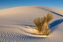 White  Sands