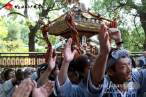 〈王子神社例大祭〉各町連合宮出し ＠2012.08.05