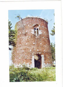 le moulin avant 1999
