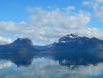 Sørfugløy