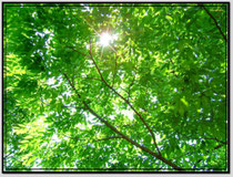 兵庫県神戸市のギター教室です！