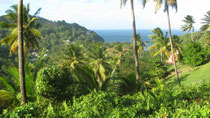 Forest Estate Properties for Sale