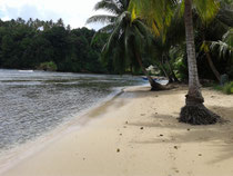 Forest Estate Properties for Sale