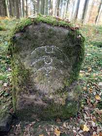 Grenze Altoberndorf / Harthausen