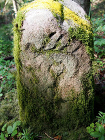 Grenze Trichtingen / Leidringen