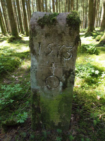 Grenze Winzeln / Waldmössingen