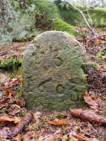 Grenze Hochmössingen / Weiden