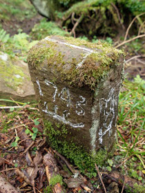 Grenze Fluorn / Höhnweiler