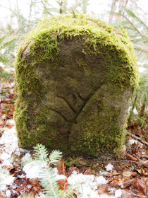 Grenze Epfendorf / Wenthof