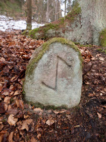 Grenze Epfendorf / Wenthof