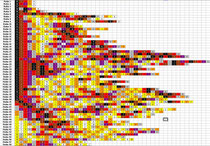 The field protocoll of a quite complex field (one of my Domino Portraits)