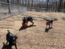 Our outdoor play yard