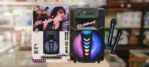 Speaker jinlong 12inch 2mic wireless