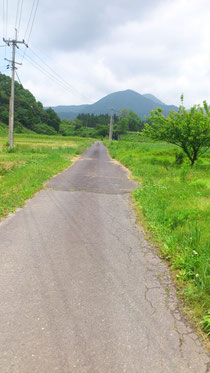 米粒よりも小さいですね・・・