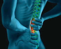 hernia discal
