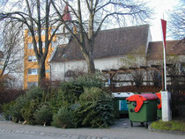 Kremser Bürger können ihre ausgedienten abgeräumten Christbäume bei den öffentlichen Umweltinseln im Stadtgebiet entsorgen. Foto:zVg