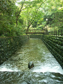 矢沢川の渓谷