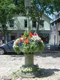 Flowers at the Foot of Main Street