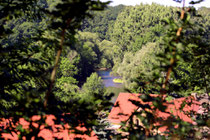 An der Saale