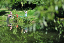 cabane dans les arbres en Baie de Somme