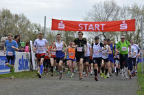 Foto: Wochenspiegel - Start 32. Fläminglauf 2013