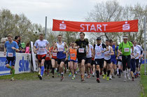 Foto: Wochenspiegel - Start 32. Fläminglauf 2013 