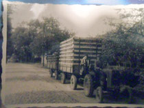 Berufswunsch: Landwirt