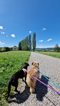 Lily (links) & Wooky (rechts)
