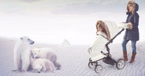 mima Winterkit