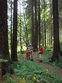 Durch den Wald streifen