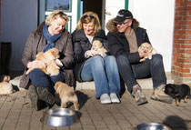 Besuch des H-Wurfes im Februar 2012