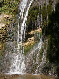 Qi begnet uns überall in der Natur. Wasser ist erfüllt von Qi.