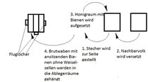 Zargenanordnung zur Bildung eines Ablegers