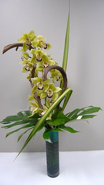 Composition avec orchidée cymbidium