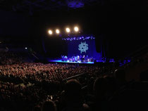 Live in der SAP-Arena