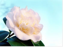Gracieuseté de photo-fr.com