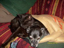 Kuscheln mit Jake