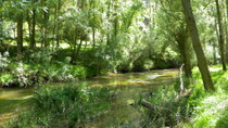 Rio Duratón