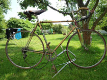 Rabeneick Campagnolo Mod.'56