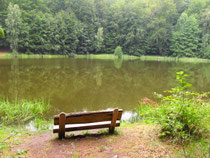 Am Baasee