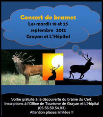 brame du cerf grayan et L'Hôpital