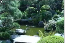 山本亭の日本庭園