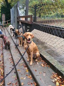 Training im Tierpark in Olderdissen 